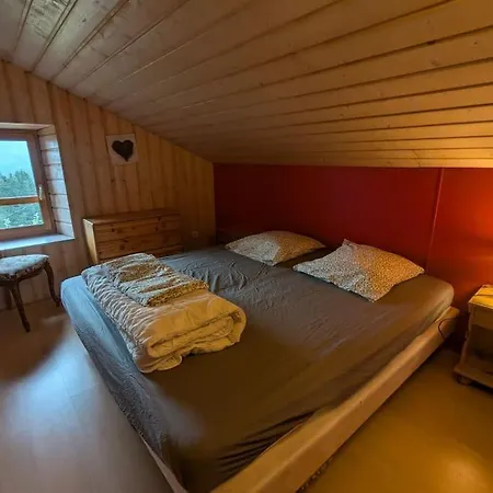 Les Jonquilles - 12 Pers - Pleine Nature *