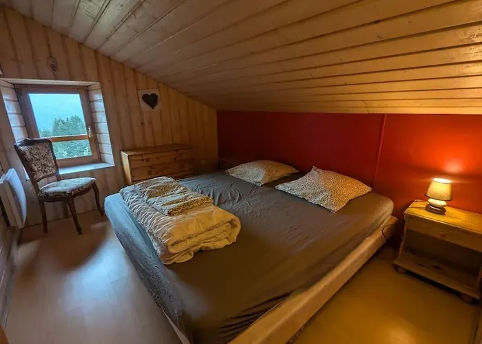 Les Jonquilles - 12 Pers - Pleine Nature *