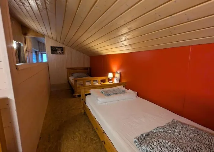 Les Jonquilles - 12 Pers - Pleine Nature Apartmán