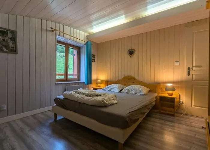 Apartmán Les Jonquilles - 12 Pers - Pleine Nature Xonrupt-Longemer