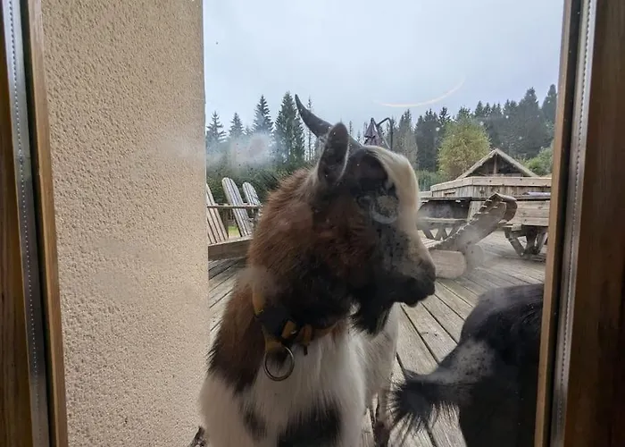 Apartmán Les Jonquilles - 12 Pers - Pleine Nature